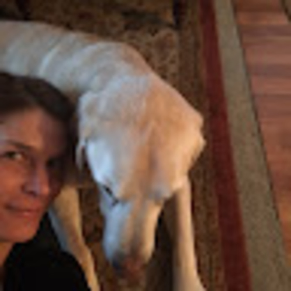 Meet your Posher, Nova